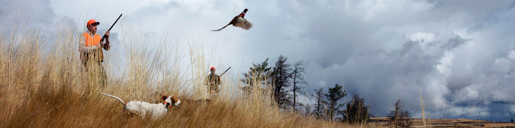 Man shooting pheasant