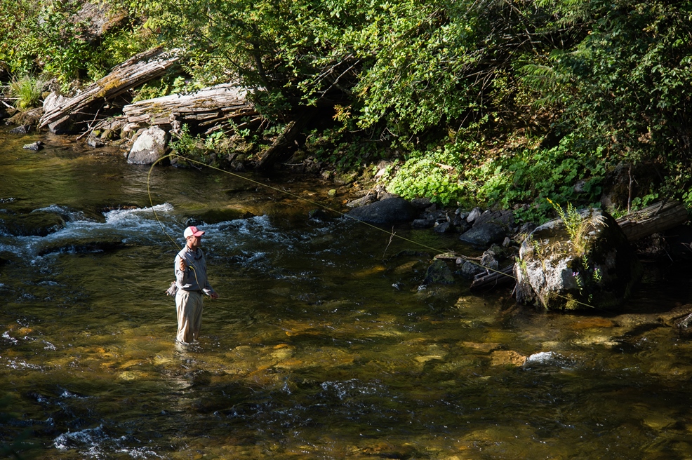 wet wade trout fly fishing fly fishing