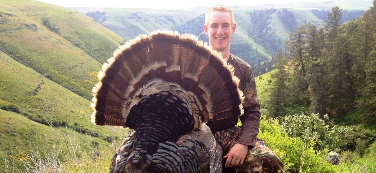 merriam turkey tom turkey
