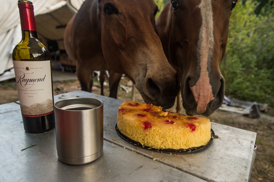 backcountry gourmet backcountry dutch cake