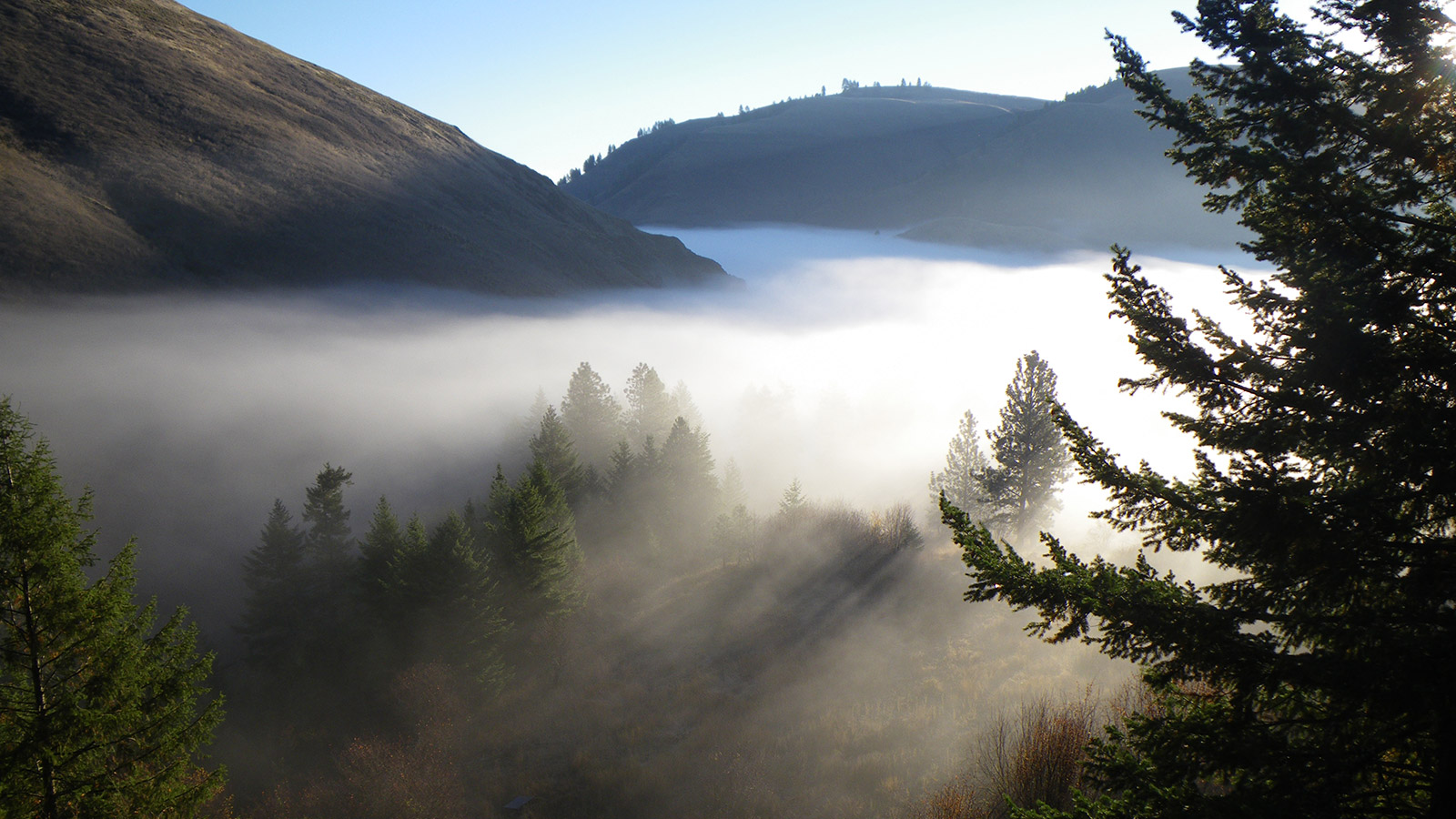 Wilderness near Flying B. Ranch in Kamiah Idaho Conservation