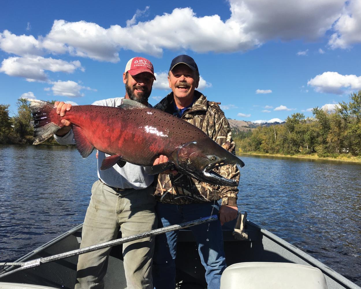 Big Salmon Fishing