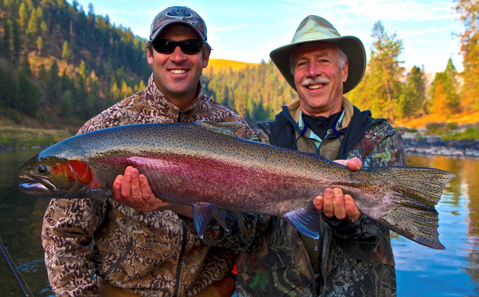 b run steelhead steelhead