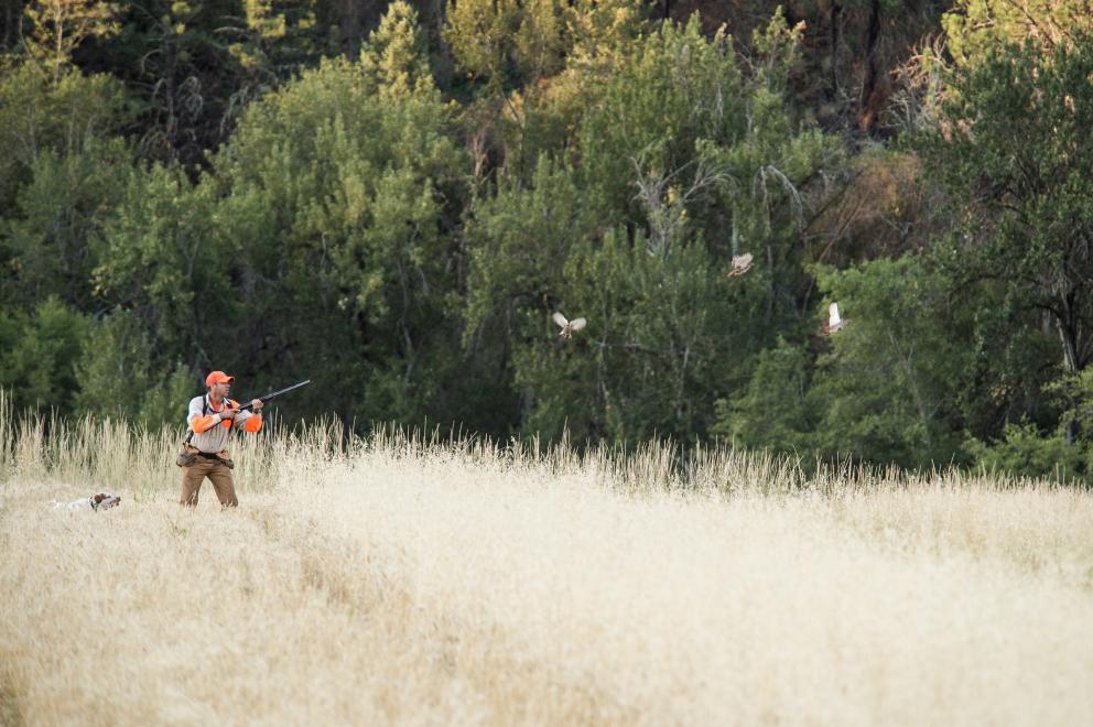 Photo Gallery | Flying B Ranch