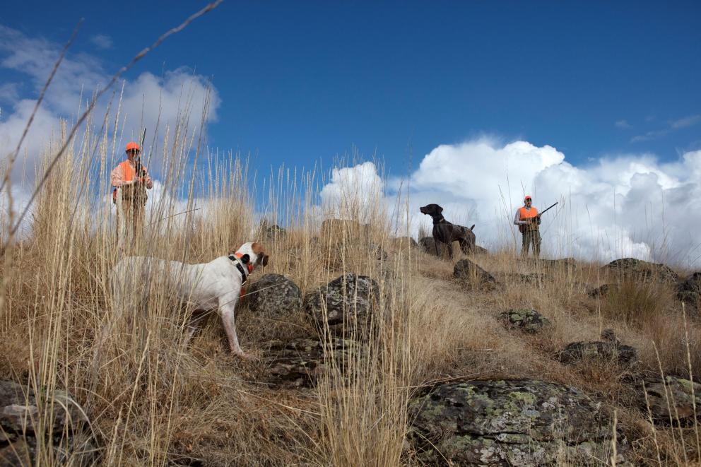 Photo Gallery | Flying B Ranch