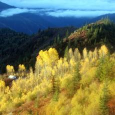 backcountry elk camp