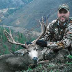 mule deer above canyon