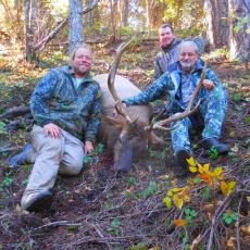 backcountry bull elk