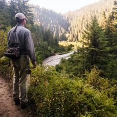 overlooking the creek