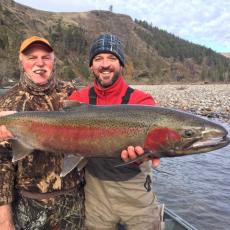 spring steelhead