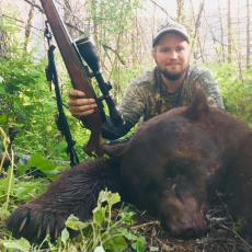 black bear Spring hunt