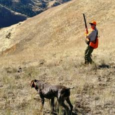 Orvis hunting chukar off the canyon rim