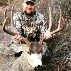 free range rifle mule deer hunt