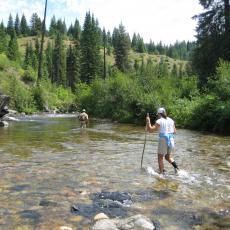 Two people wading through a shallow river