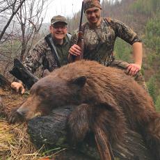 cinnamon bear brown bear Idaho hunting backcountry
