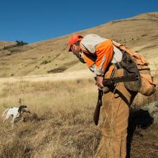 Dog bringing bird to hunter