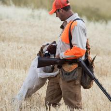 Dog bringing bird to hunter