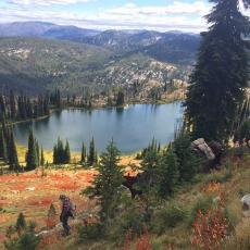 packing into elk camp