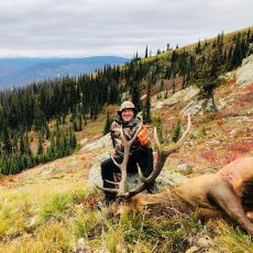 bull elk Idaho backcountry hunting