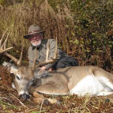 backcountry whitetail deer