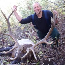 backcountry bull