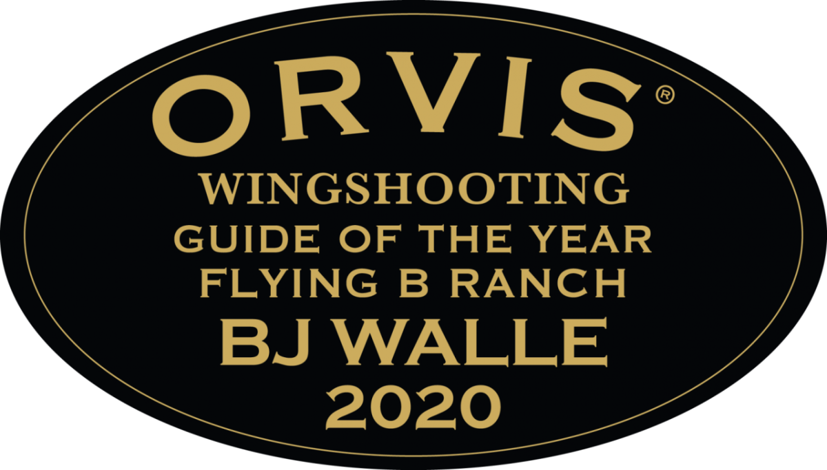 Orvis Guide of the Year Award