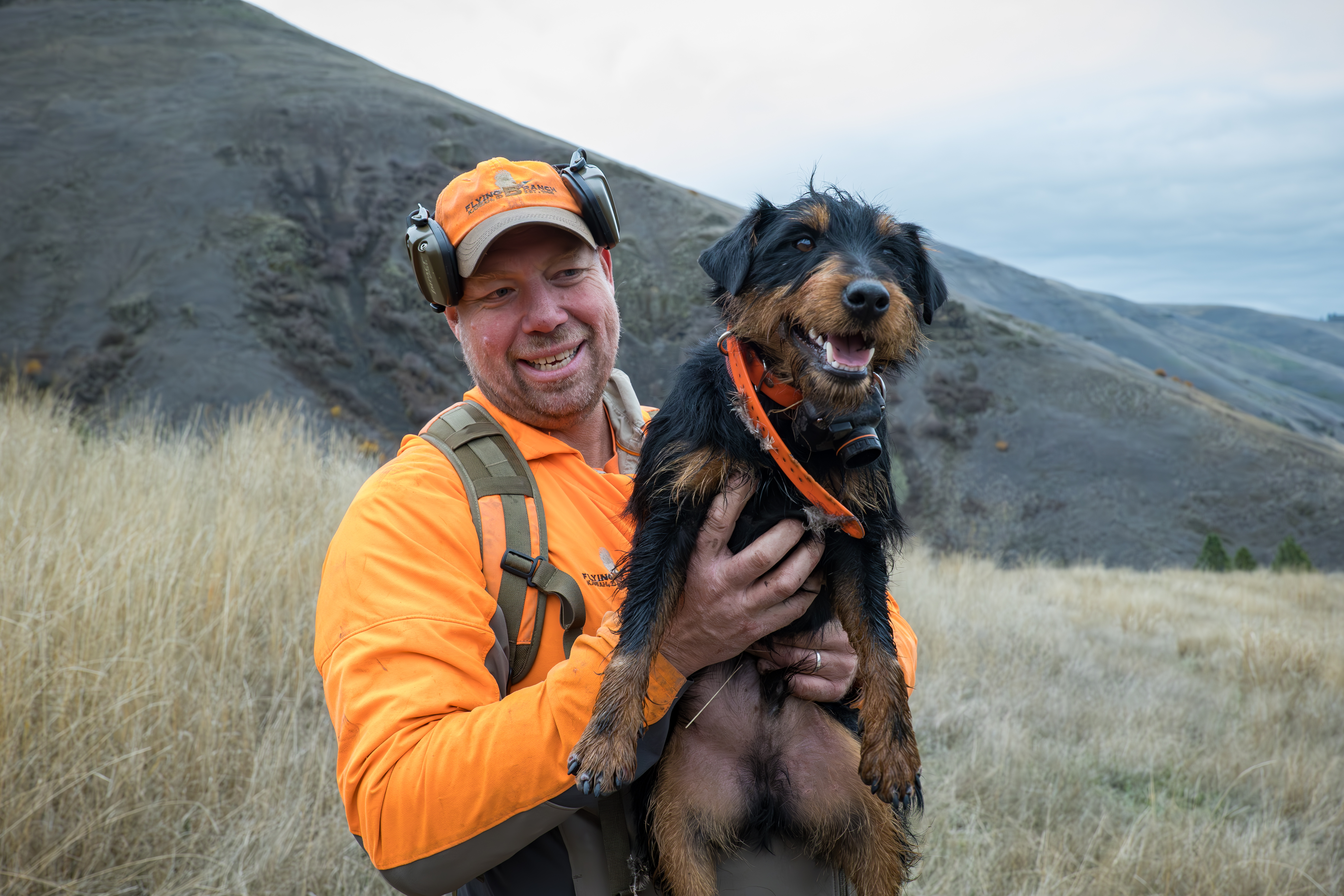 Jeremi and jagdterrier flusher 