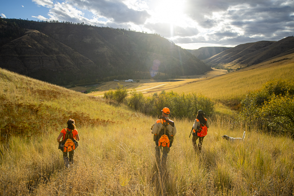 upland bird hunting Idaho