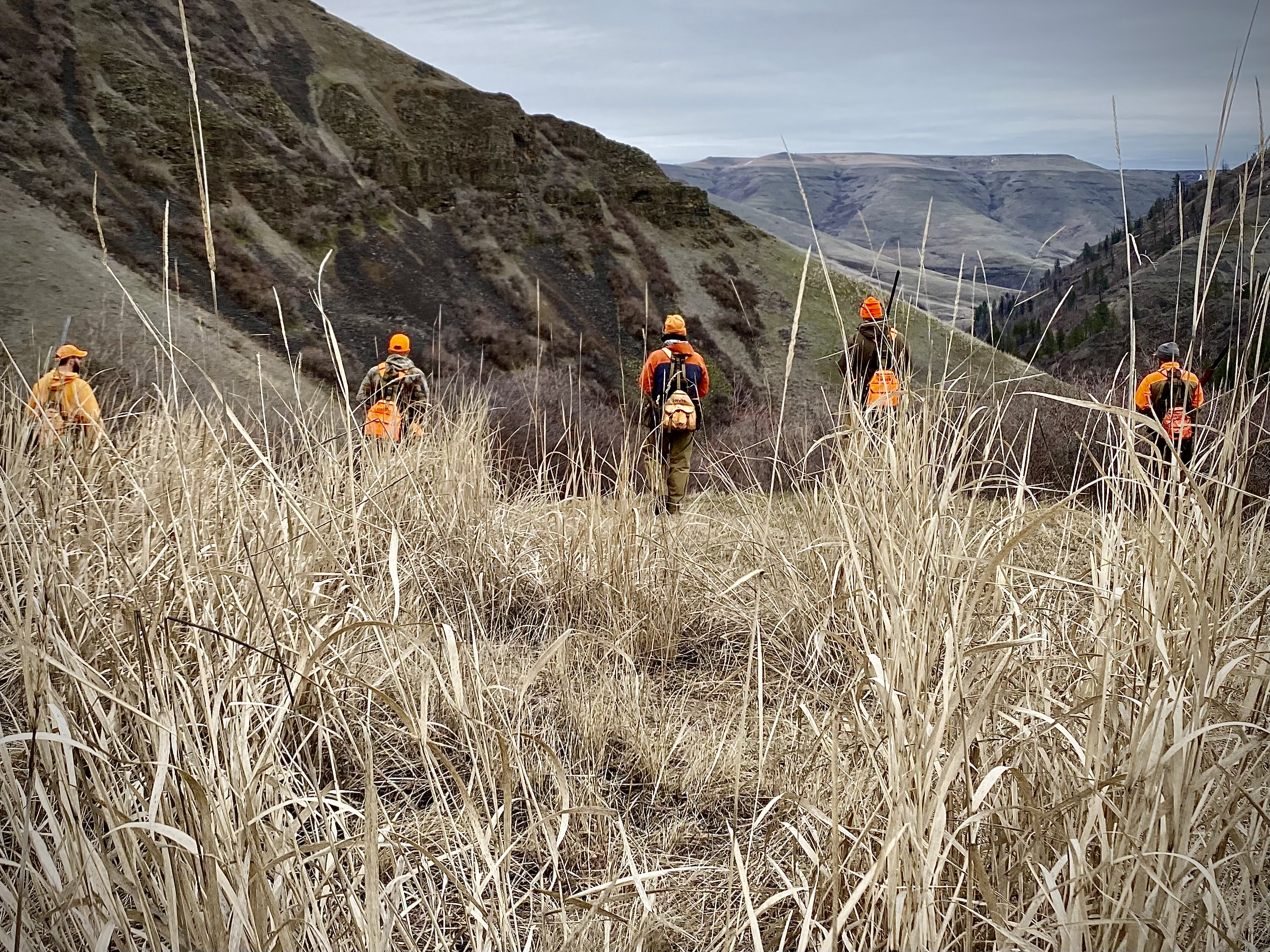 Orvis Endorsed Flying B Ranch Wingshooting Guide School